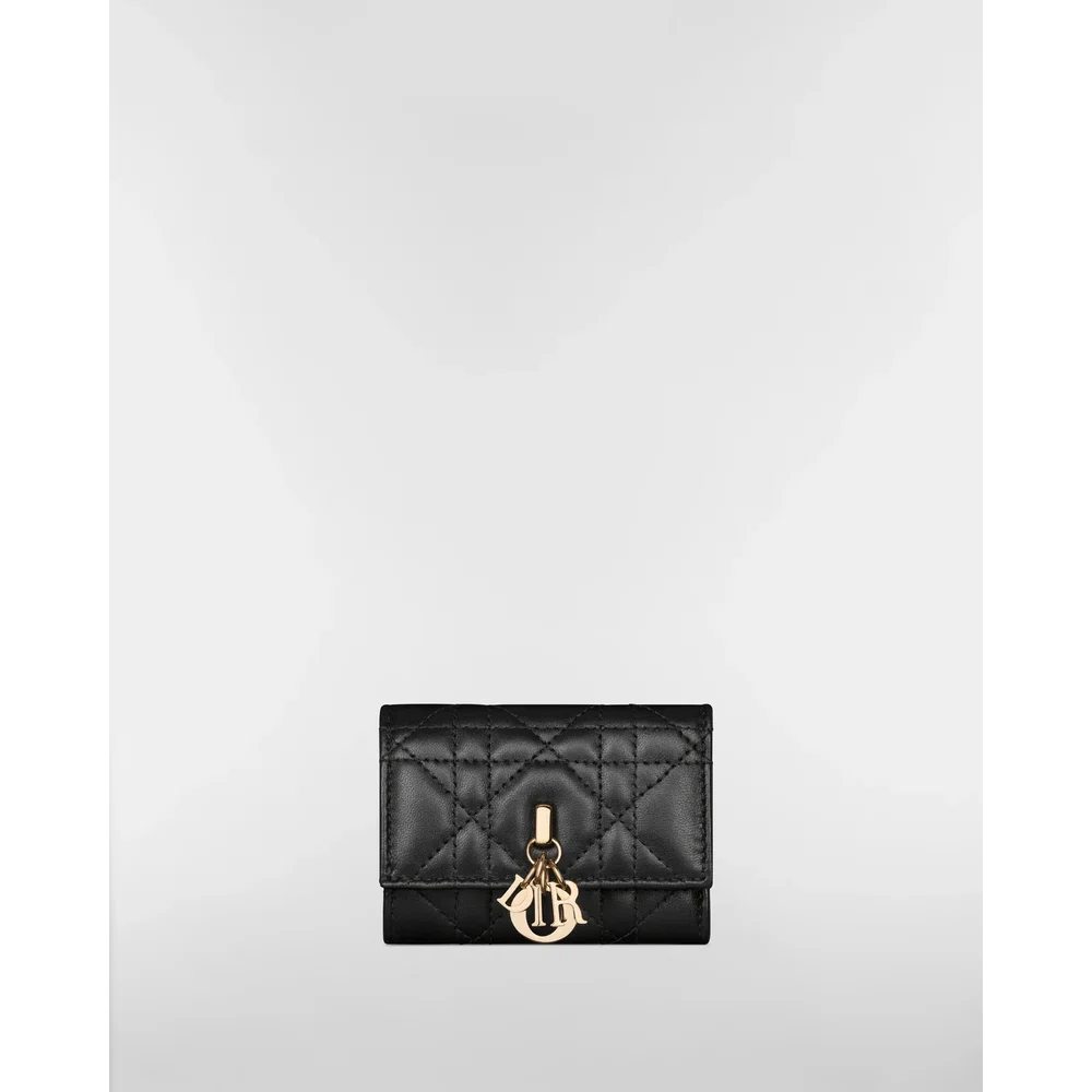 Мой кошелёк Dior Veronia 1
