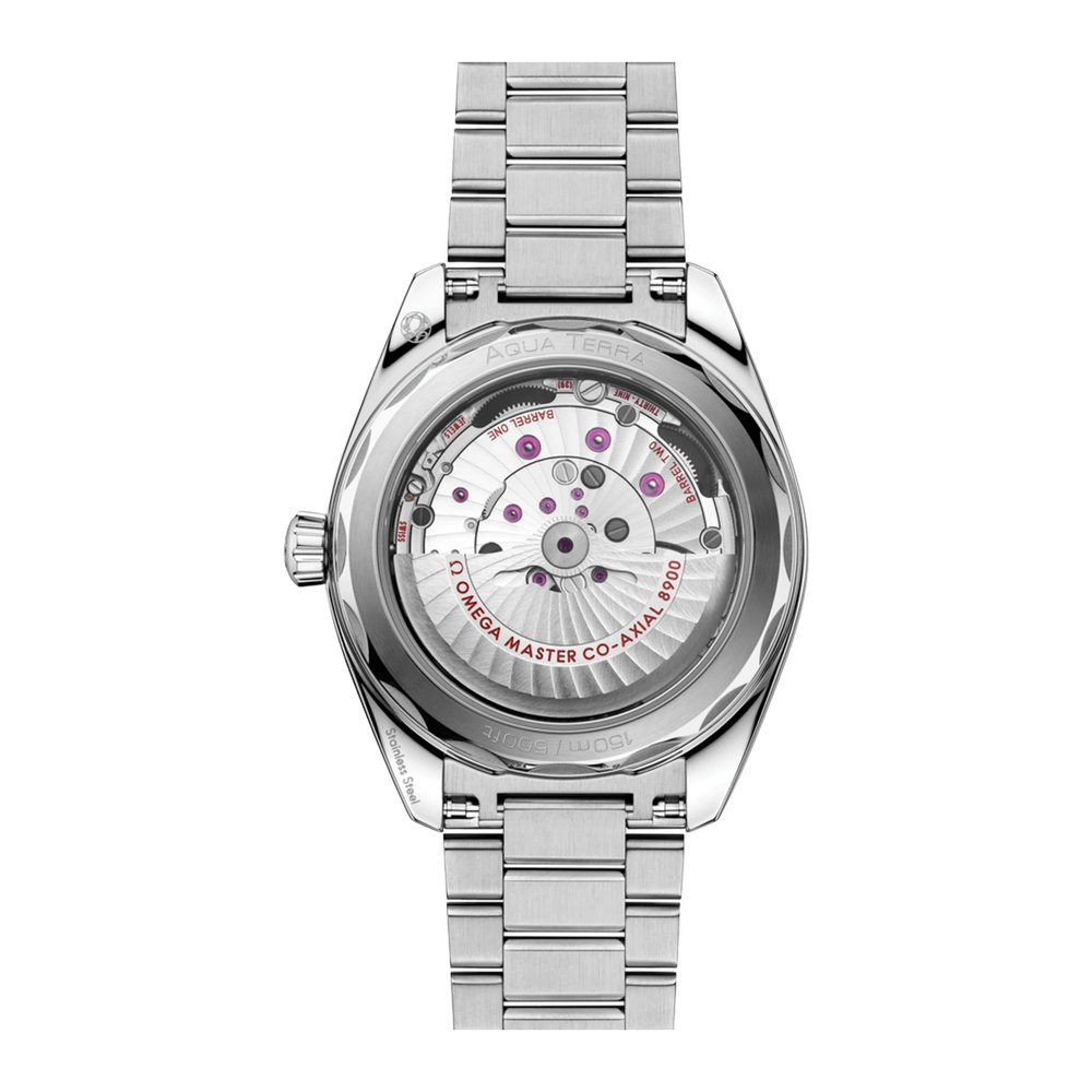 Seamaster Aqua Terra 150 м 41 мм, сталь на стали - 220.10.41.21.03.007 2