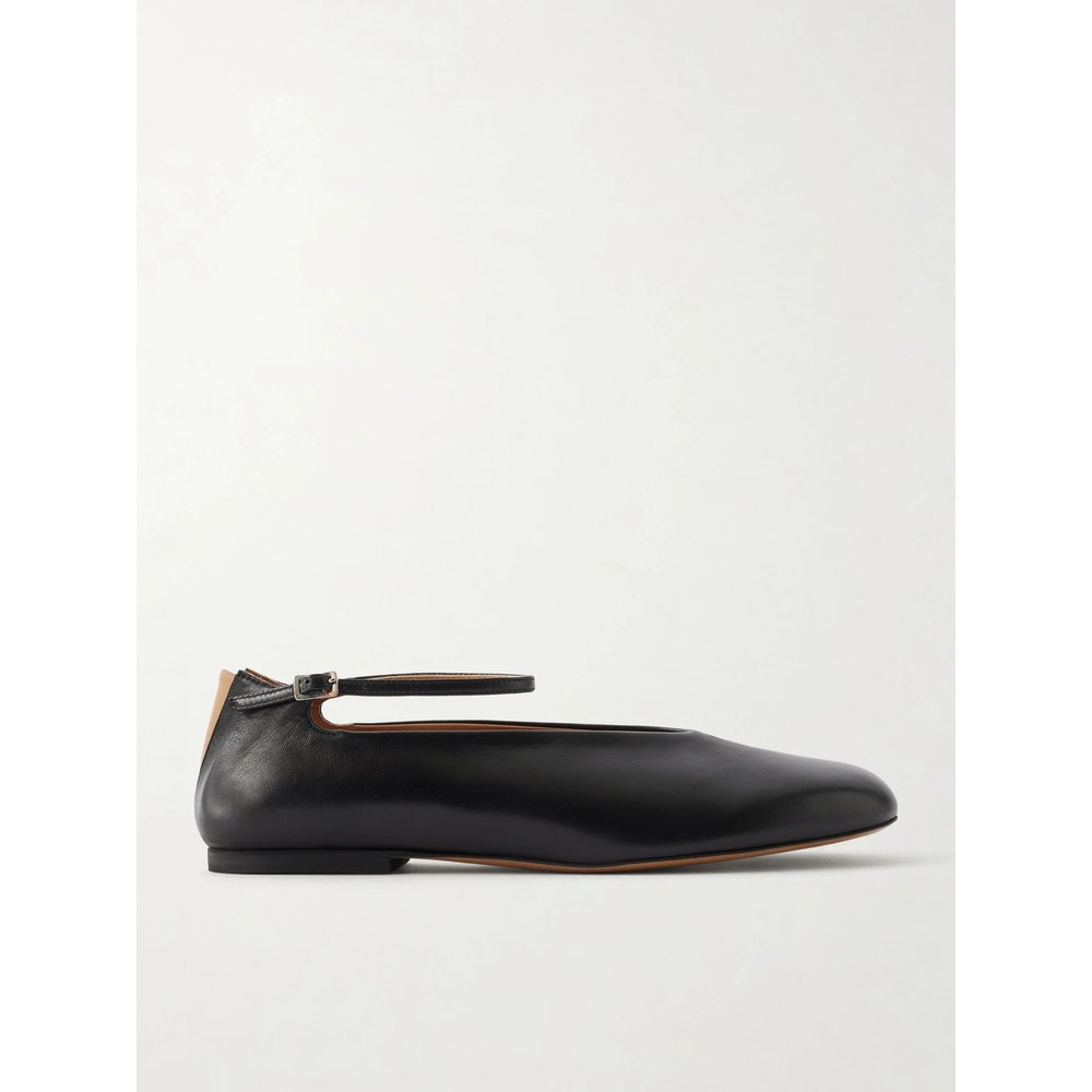 Балетки из кожи Elyss 1