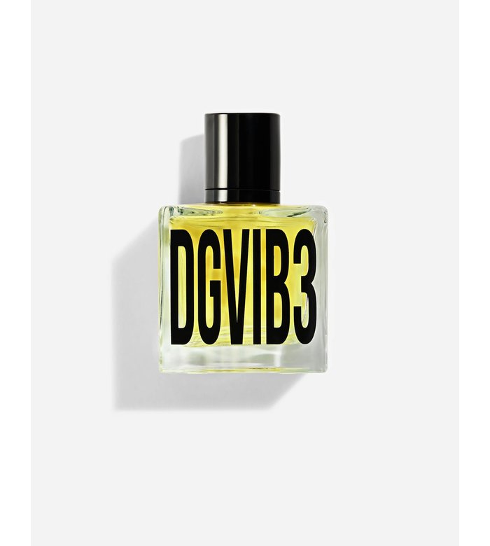 DGVIB3
